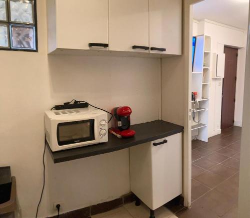 un micro-ondes posé sur un comptoir dans une cuisine dans l'établissement Logement entier proche de paris, à Rosny-sous-Bois