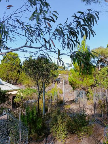 a garden with trees and a fence at Strandmarken in Island Beach