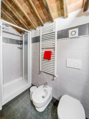 a bathroom with a toilet and a shower and a sink at Agriturismo La Peonia in Bagnoregio