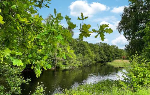 a river with trees on the side of it at 1 Bedroom Beautiful Home In Borås in Borås