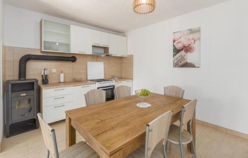 a kitchen with a wooden table and chairs at Awesome Home In Segotici in Šegotići