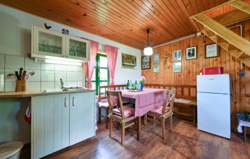 Η κουζίνα ή μικρή κουζίνα στο 1 Bedroom Nice Home In Konjscina