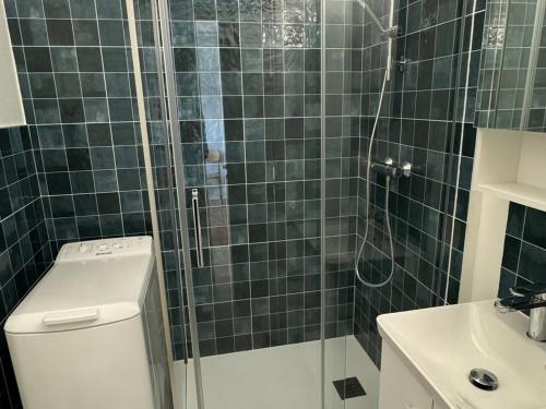 une salle de bain avec une douche avec des toilettes et un lavabo dans l'établissement Cabourg: Bel appartement 3 pièces vue mer, 2 balcons, animaux admis - FR-1-487-370, à Cabourg
