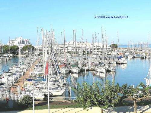 Une bande de bateaux amarrés dans un port de plaisance dans l'établissement Studio refait avec piscine et clim, proche plage et commerces - FR-1-731-81, au Grau-du-Roi