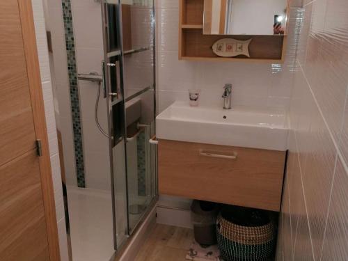 une petite salle de bain avec un lavabo et une douche dans l'établissement Studio refait avec piscine et clim, proche plage et commerces - FR-1-731-81, au Grau-du-Roi