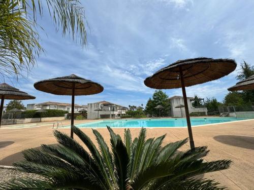 - une piscine avec des parasols en face du complexe dans l'établissement Costa Verde - Appart 6 places avec piscine en bord mer, à Poggio-Mezzana