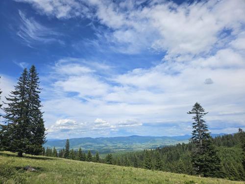 a hill with trees and a blue sky with clouds at Starry Night Retreat in Subcetate