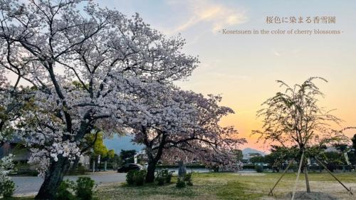 a tree with white flowers on it in a field at 古民家1棟貸し 今魚店の家 in Hagi