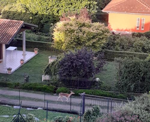 Zahrada ubytování B&B La Civetta