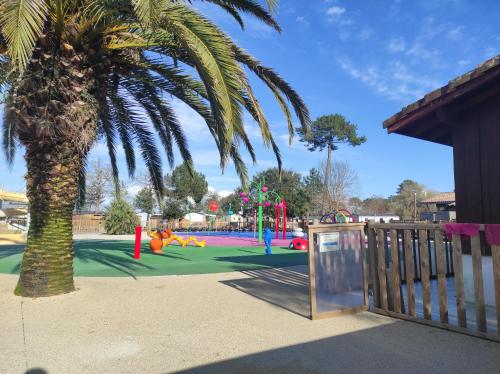 - une aire de jeux avec un palmier dans un parc dans l'établissement lesmobilhomesduferret - camping Les Viviers - mobil-homes de particuliers, funpass activités non inclus, à Lège-Cap-Ferret