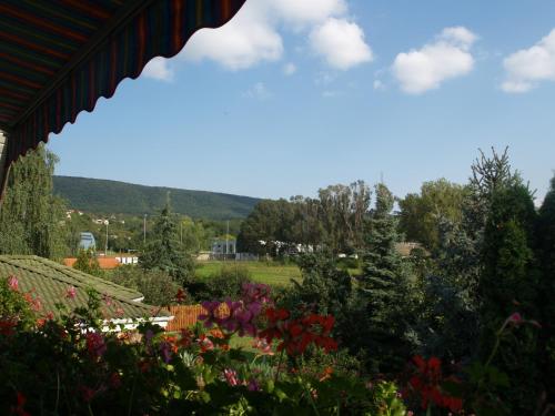 Ảnh trong thư viện ảnh của SAMU Vendégház ở Vértesszőlős