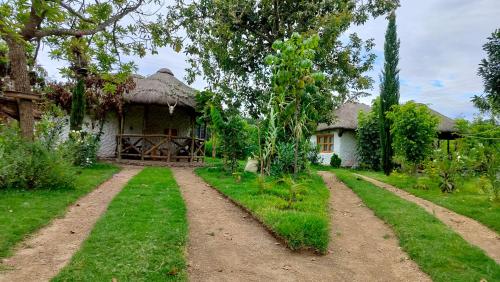 Zahrada ubytování Podocarpus Cottages -02