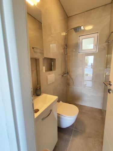 a small bathroom with a toilet and a sink at Weekend house Olive garden in Donje Selo na Šolti