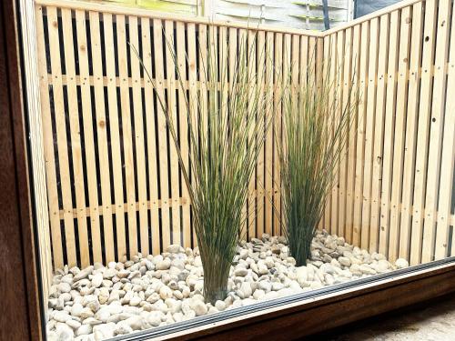 two plants in a wooden cage with rocks at Preiswertes Mini-Appartement ideal für eine Nacht in Scharbeutz