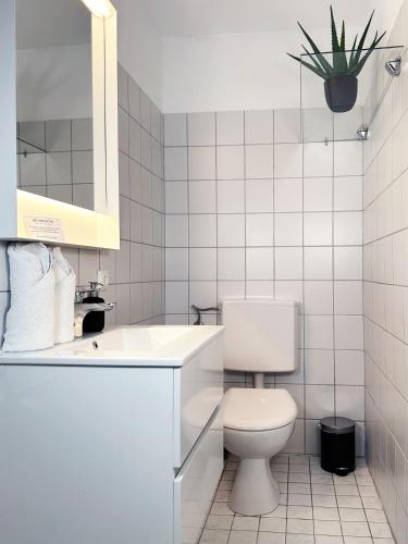 a white bathroom with a toilet and a sink at Preiswertes Mini-Appartement ideal für eine Nacht in Scharbeutz