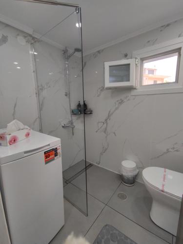 a bathroom with a shower and a toilet at Anatoli in Agia Ermioni