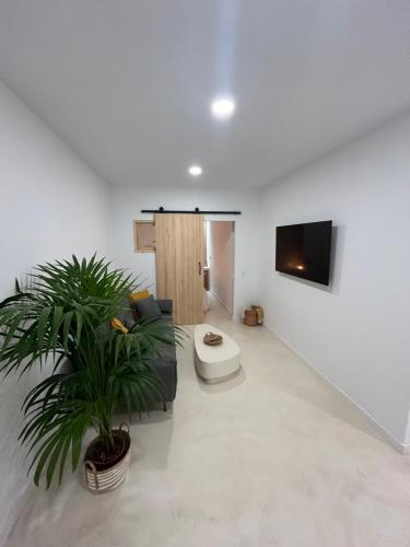 Kira Suite