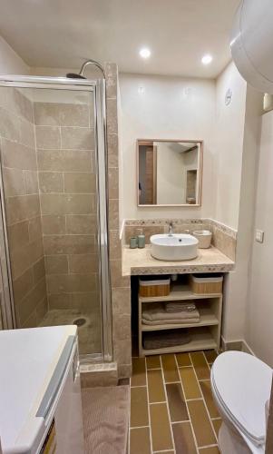 une salle de bain avec un lavabo et une douche dans l'établissement Studio cosy en bord de mer, à Saint-Cyr-sur-Mer