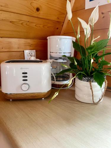 a toaster and a potted plant on a counter at Ośrodek Daglezja in Kołczewo