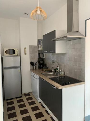 une cuisine avec un évier et un réfrigérateur dans l'établissement GITE du Phoque Gris, à Berck-sur-Mer