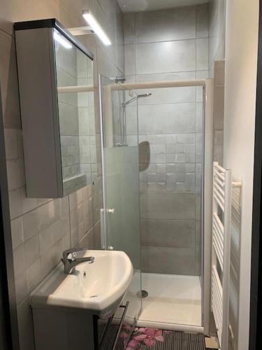 une salle de bain avec un lavabo et une douche dans l'établissement GITE du Phoque Gris, à Berck-sur-Mer