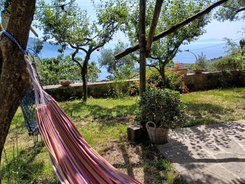 a hammock hanging from a tree in a yard at Amalfi Coast, Positano, Sorrento, Capri, Garden, Villa Carcara in Colli di Fontanelle