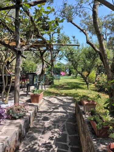 a walkway in a park with trees and plants at Amalfi Coast, Positano, Sorrento, Capri, Garden, Villa Carcara in Colli di Fontanelle