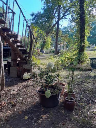 Κήπος έξω από το La cabane de l'oiseau