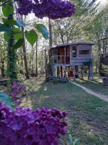 Κήπος έξω από το La cabane de l'oiseau
