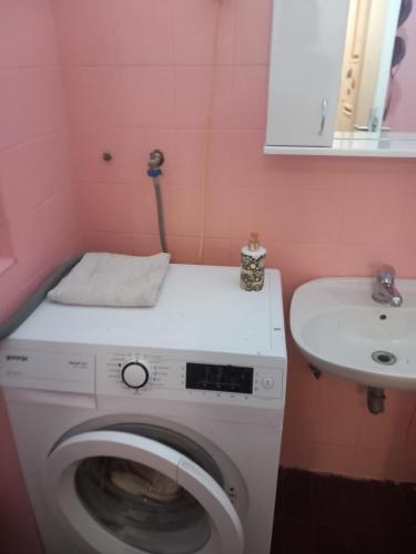 baño rosa con lavadora y lavamanos en Apartman MDj, en Žarkovo
