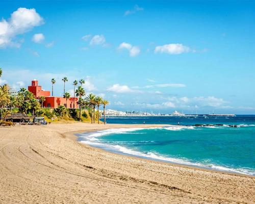 a sandy beach with palm trees and the ocean at Apartamento San Cristóbal Benalmádena Costa in Benalmádena