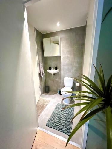 Bilik mandi di Jungle style lodge with jacuzzi ,sauna and garden near Amsterdam