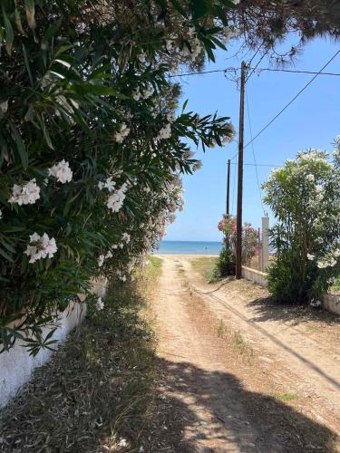 Φυσικό τοπίο κοντά σε αυτή η παραθεριστική κατοικία