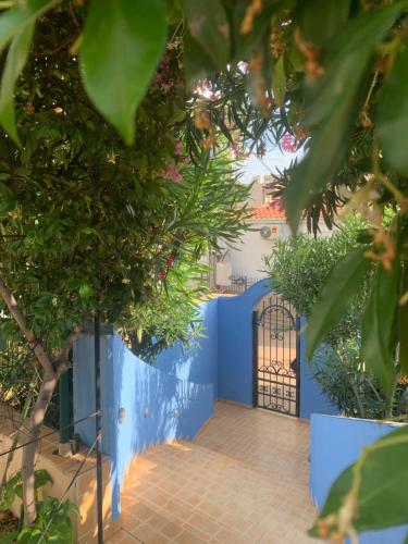 a blue fence with a gate and trees at Maroccana in Dobra Voda