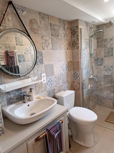 une salle de bain avec un lavabo, des toilettes et un miroir dans l'établissement Coste de Laval, à Quillan