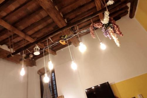 a bunch of lights hanging from a ceiling with flowers at Casina di Lia in Peccioli