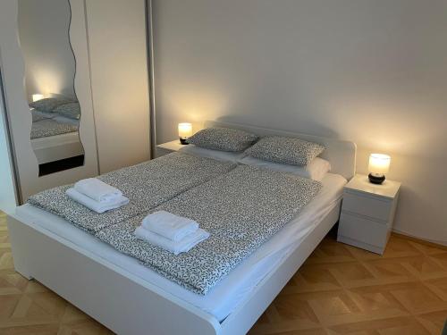 Postel nebo postele na pokoji v ubytování Apartman Dragovic