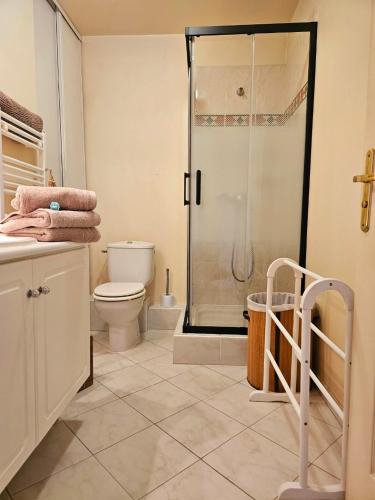 une salle de bain avec douche et toilettes dans l'établissement Studio lumineux en plein centre-ville, avec terrasse privée sur cour, situé place du Pin, à Nice