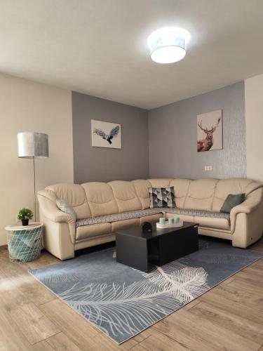 a living room with a couch and a table at Ferienwohnung Bamberger mit Wintergarten Schmalkalden in Schmalkalden