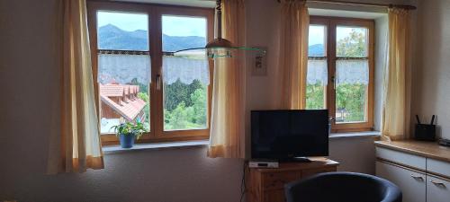 Televisyen dan/atau pusat hiburan di Osserapartment