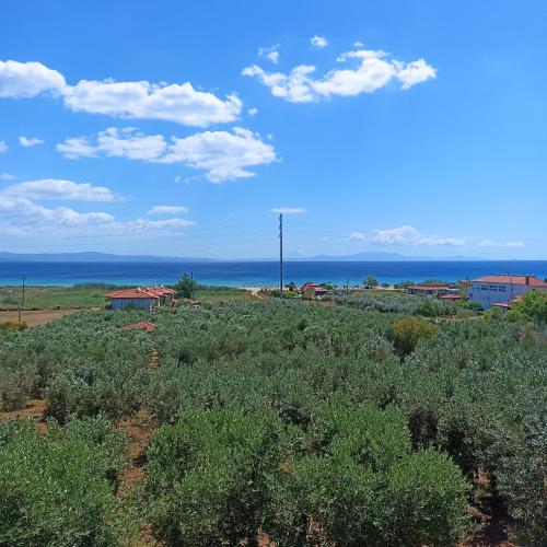 Φυσικό τοπίο κοντά σε αυτό το διαμέρισμα