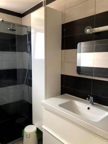 une salle de bain avec un lavabo et une douche dans l'établissement Charmante Maison Entre Lac et Océan, à La Teste-de-Buch