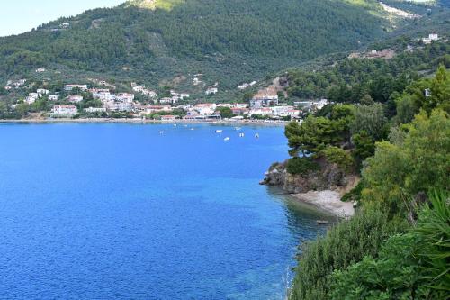 Thama of Skiathos Apartment 1