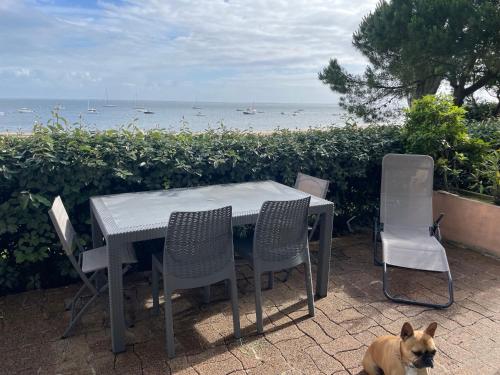 un chien assis à côté d'une table et de chaises dans l'établissement Appartement Arcachon vue sur le bassin, à Arcachon