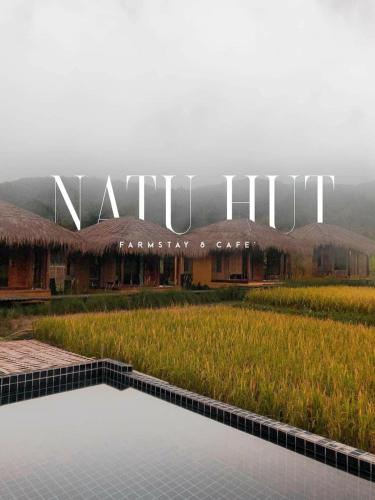 a resort with a pool in front of a field at Natu Hut Farm Stay & Cafe' Chiang Mai in Mae Taeng