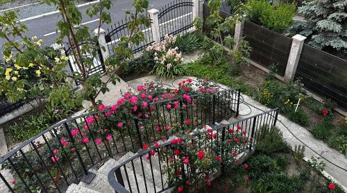 Imagen de la galería de Casa Naty, en Vama Veche