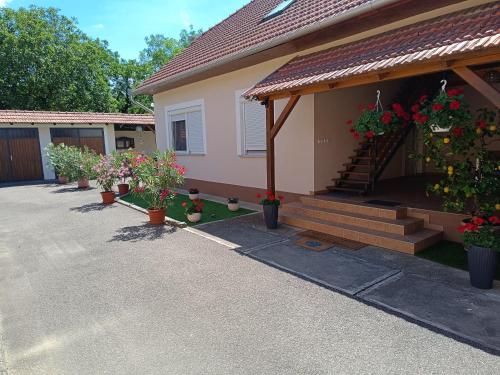 a house with potted plants on the side of it at Kamilla Vendégház Tiszafüred in Tiszafüred
