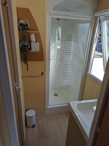 La petite salle de bains est pourvue d'une douche et d'un lavabo. dans l'établissement Mobilhome tout confort dans domaine boisé, au Castellet
