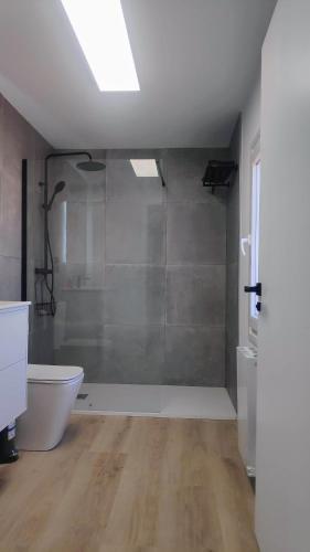 a bathroom with a shower and a toilet and a sink at Valdoviño Experience in Valdoviño