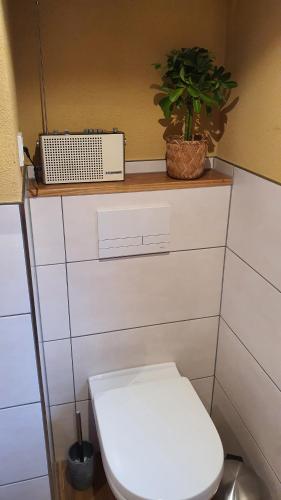 a bathroom with a toilet and a plant on a shelf at Gemütliches Haus im alten Ortskern in Wehrheim